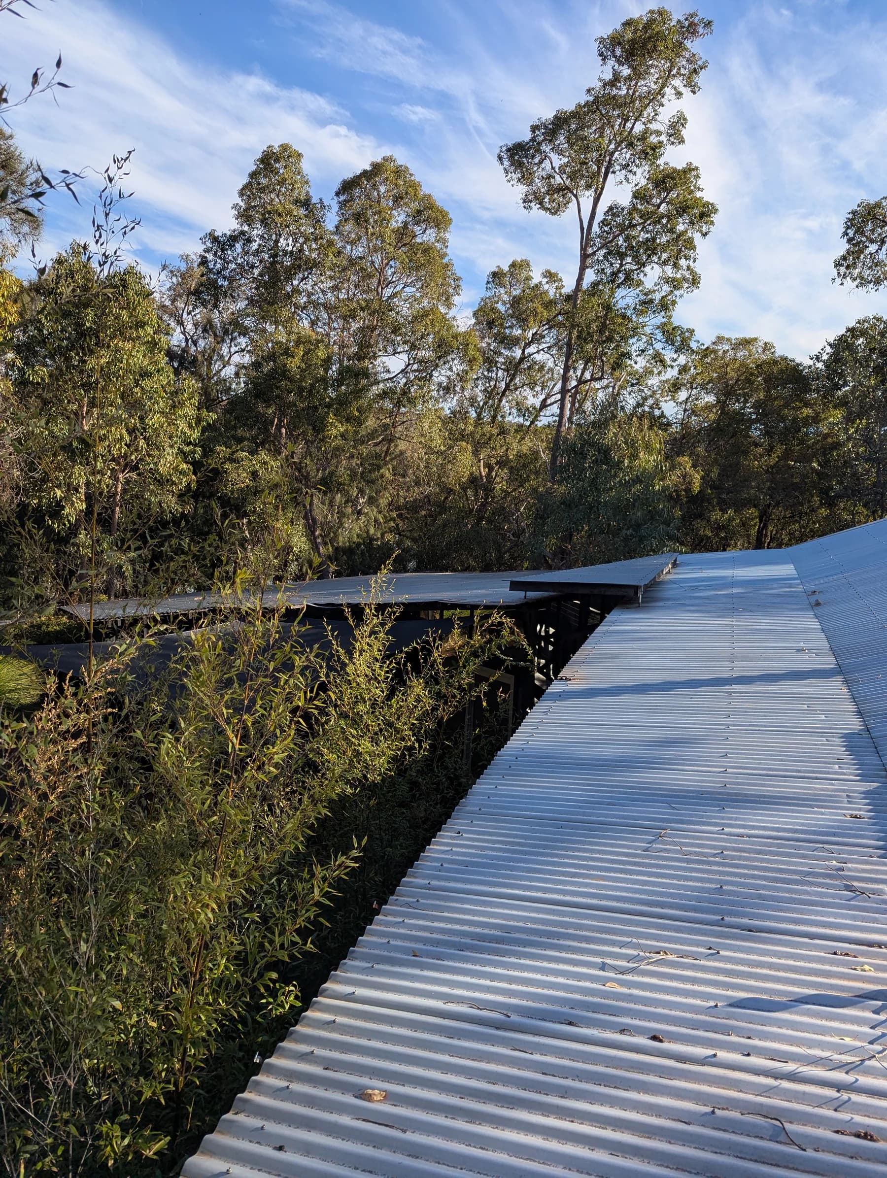 Rooflines and surrounding trees at the Darlington property