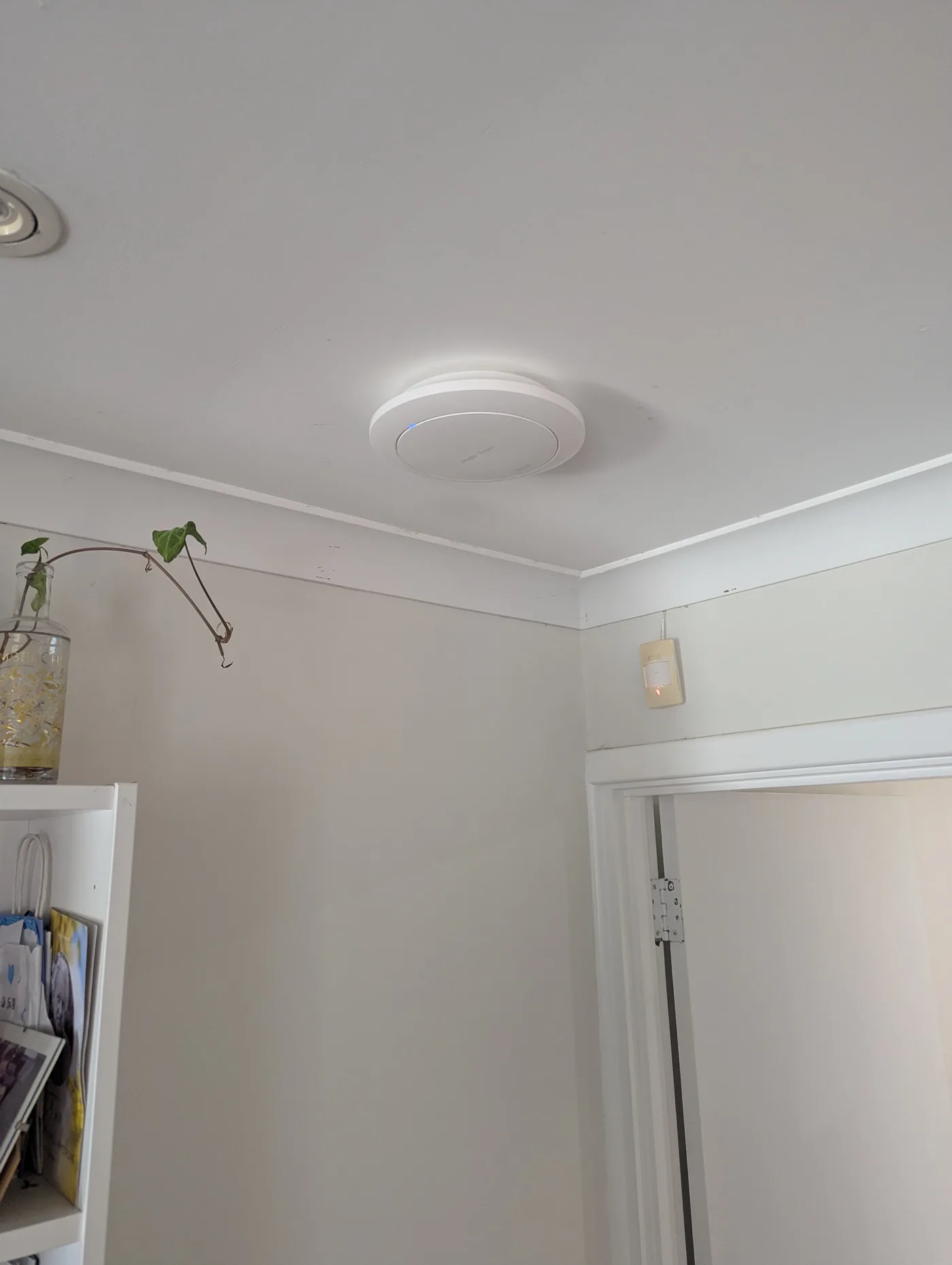 Ceiling-mounted Wi-Fi access point extending coverage in a Kallaroo family home
